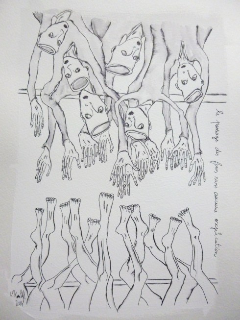 Le Passage Des Fous Sans Explication